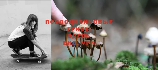 дурь Алексин