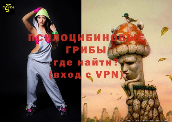 хмурый Абаза