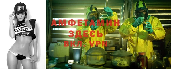 хмурый Абаза