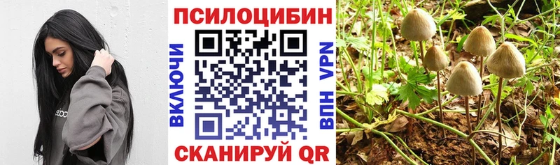 Галлюциногенные грибы MAGIC MUSHROOMS  как найти   MEGA ССЫЛКА  Тетюши 